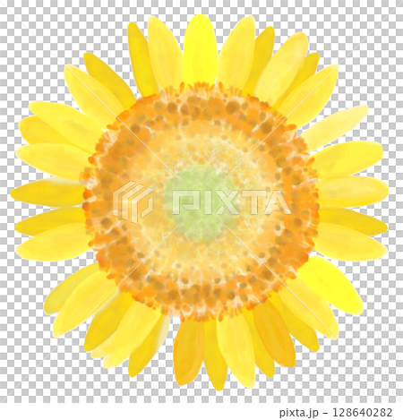 向日葵（水彩風格） 128640282
