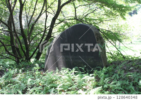 千本城 128640348