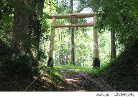 千本城 千本城 128640349