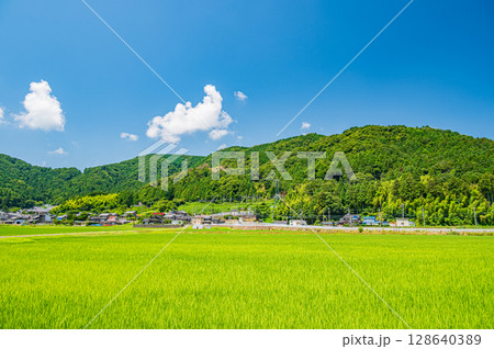 奥琵琶湖西浅井町の田園風景　滋賀県長浜市 128640389