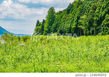夏の奥琵琶湖風景 滋賀県長浜市 夏の奥琵琶湖風景 滋賀県長浜市 128640859