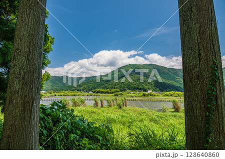 夏の奥琵琶湖風景 滋賀県長浜市 夏の奥琵琶湖風景 滋賀県長浜市 128640860