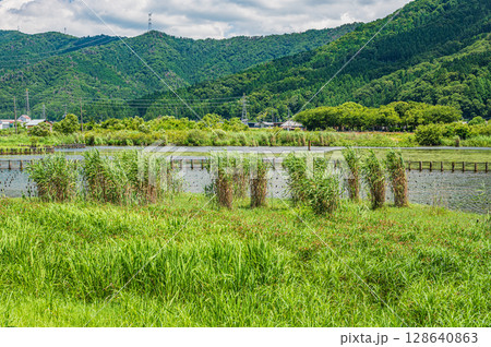夏の奥琵琶湖風景 滋賀県長浜市 夏の奥琵琶湖風景 滋賀県長浜市 128640863