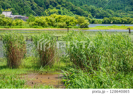 夏の奥琵琶湖風景　滋賀県長浜市 128640865