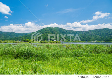 夏の奥琵琶湖風景 滋賀県長浜市 夏の奥琵琶湖風景 滋賀県長浜市 128640867