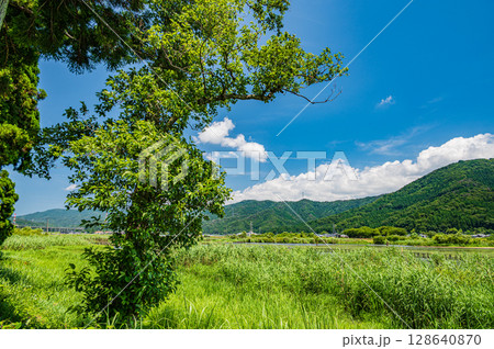 夏の奥琵琶湖風景 滋賀県長浜市 夏の奥琵琶湖風景 滋賀県長浜市 128640870
