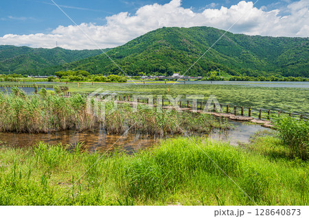 夏の奥琵琶湖風景　滋賀県長浜市 128640873