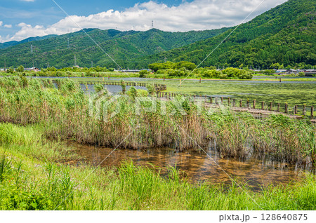 夏の奥琵琶湖風景 滋賀県長浜市 夏の奥琵琶湖風景 滋賀県長浜市 128640875