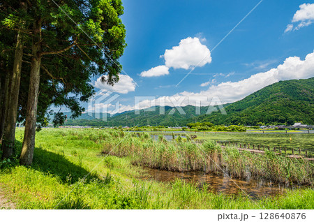 夏の奥琵琶湖風景 滋賀県長浜市 夏の奥琵琶湖風景 滋賀県長浜市 128640876