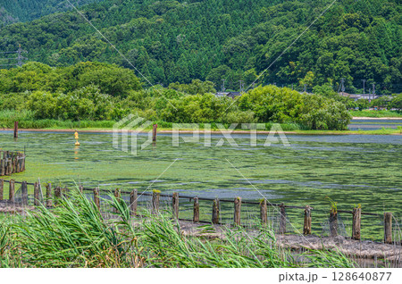夏の奥琵琶湖風景　滋賀県長浜市 128640877