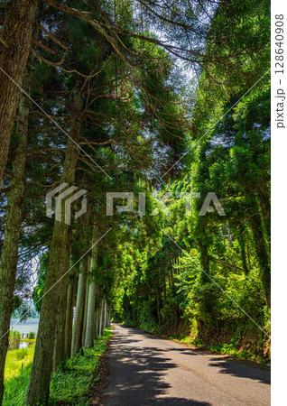 奥琵琶湖の湖岸道路　滋賀県長浜市 128640908