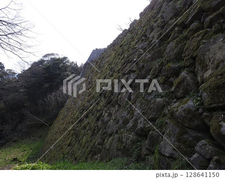 彦根城 彦根城 128641150