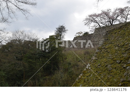 彦根城 彦根城 128641176