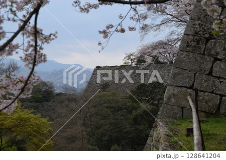彦根城 128641204