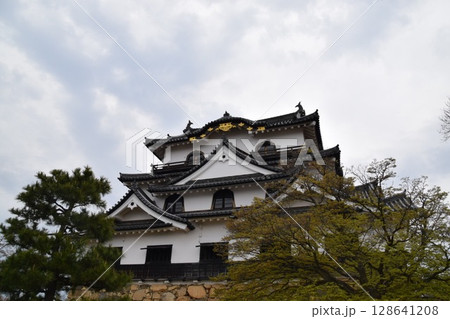 彦根城 128641208