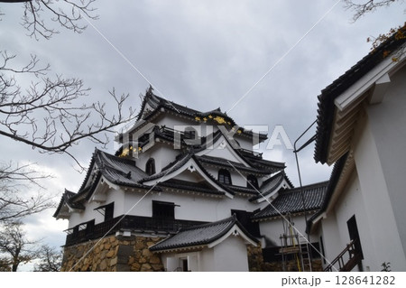 彦根城 128641282