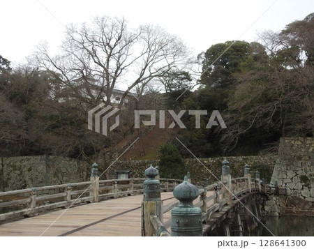 彦根城 128641300