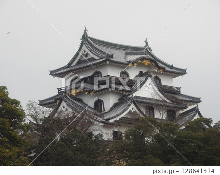 彦根城 128641314