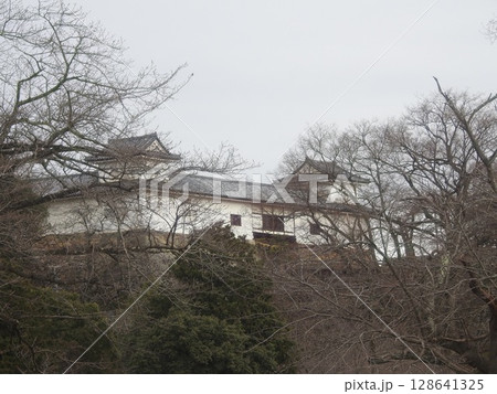 彦根城 128641325