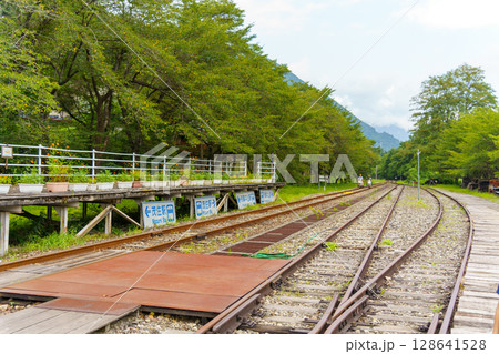 新緑に包まれた線路 128641528