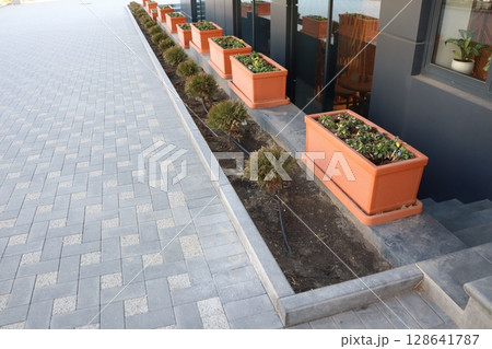 Stylish and Elegant Paved Walkway Designed with Beautiful and Colorful Flower Planters 128641787
