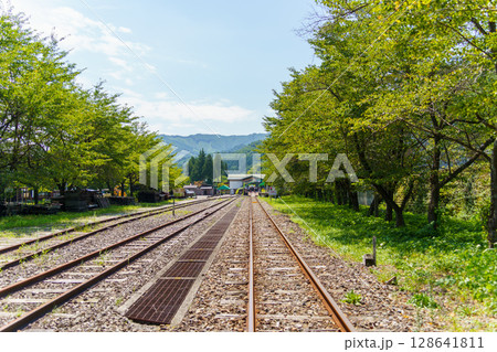 新緑に包まれた線路 新緑に包まれた線路 128641811