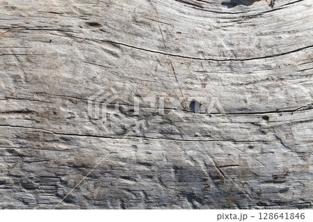 Textured Wooden Surface Featuring Beautifully Detailed Natural Grain Patterns of Wood 128641846