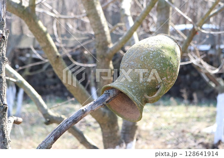 An exceptionally unique and creative nature sculpture composed of a tree branch and a gourd 128641914