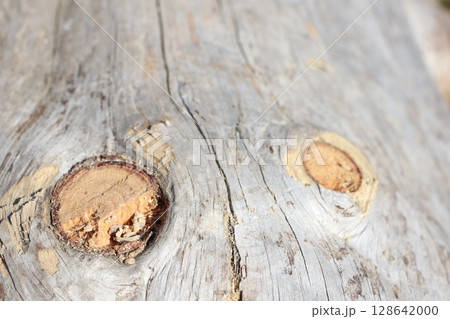 A Detailed CloseUp of Weathered Wood Featuring Natural Knots and Intricate Textures 128642000