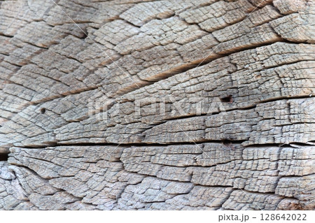 Closeup of weathered wood textures, highlighting unique patterns and designs in nature 128642022