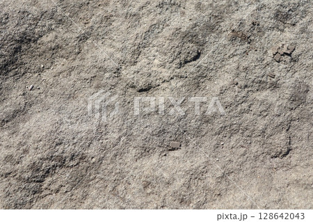 Textured Rock Surface with Imprints Found in Natures Vast and Complex Environments 128642043