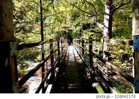 姫淵(ひめぶち) 赤沢自然休養林へ向かう道中にある名所の風景 長野県木曽郡上松町 姫淵(ひめぶち) 赤沢自然休養林へ向かう道中にある名所の風景 長野県木曽郡上松町 128642178