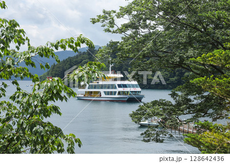 湖の湖畔を望む風景 128642436