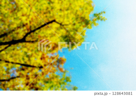 ざらざらの紙とぼやけた紅葉した木と秋晴れの空の画像 128643081
