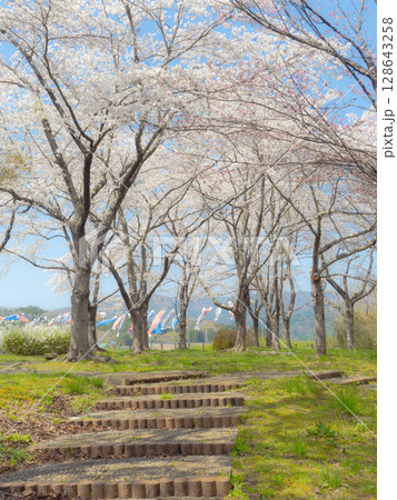 桜のある風景 桜のある風景 128643258
