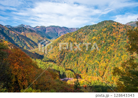 【温泉街の紅葉】上高地乗鞍スーパー林道より望む白骨温泉方面 128643343