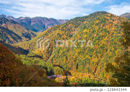 【温泉街の紅葉】上高地乗鞍スーパー林道より望む白骨温泉方面 128643344