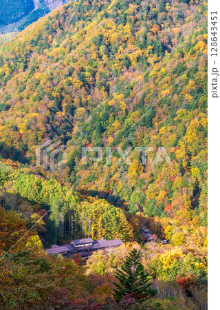 【温泉街の紅葉】上高地乗鞍スーパー林道より望む白骨温泉方面 【温泉街の紅葉】上高地乗鞍スーパー林道より望む白骨温泉方面 128643451