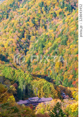 【温泉街の紅葉】上高地乗鞍スーパー林道より望む白骨温泉方面 128643452