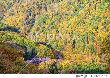 【温泉街の紅葉】上高地乗鞍スーパー林道より望む白骨温泉方面 128643453
