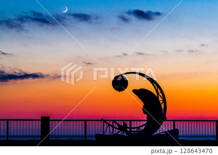 【北海道_稚内市_ノシャップ岬】サンセット ノシャップ  三日月とイルカ 7月 128643470