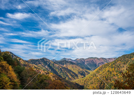 上高地乗鞍スーパー林道より望む乗鞍岳方面の紅葉 上高地乗鞍スーパー林道より望む乗鞍岳方面の紅葉 128643649