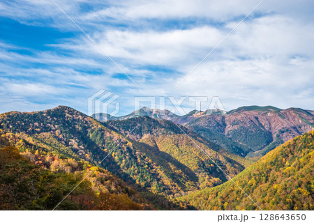 上高地乗鞍スーパー林道より望む乗鞍岳方面の紅葉 上高地乗鞍スーパー林道より望む乗鞍岳方面の紅葉 128643650