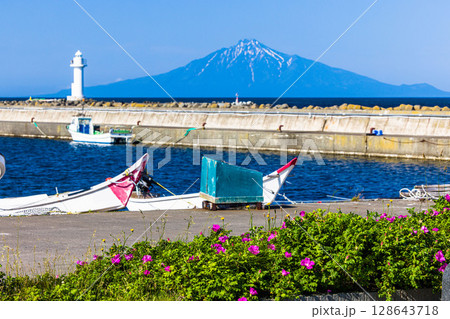 【北海道_稚内市_ノシャップ岬】ハマナスと利尻島 7月 【北海道_稚内市_ノシャップ岬】ハマナスと利尻島 7月 128643718