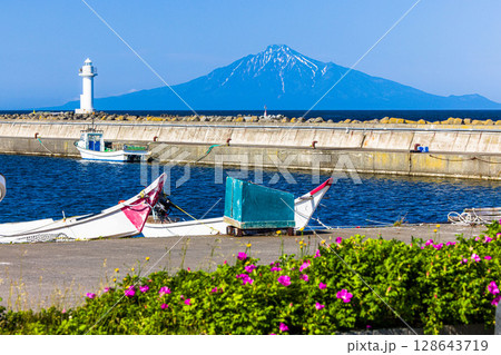 【北海道_稚内市_ノシャップ岬】ハマナスと利尻島 7月 【北海道_稚内市_ノシャップ岬】ハマナスと利尻島 7月 128643719