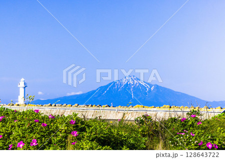 【北海道_稚内市_ノシャップ岬】ハマナスと利尻島 7月 【北海道_稚内市_ノシャップ岬】ハマナスと利尻島 7月 128643722