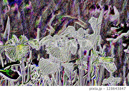 花菖蒲　＜加工＞ 128643847