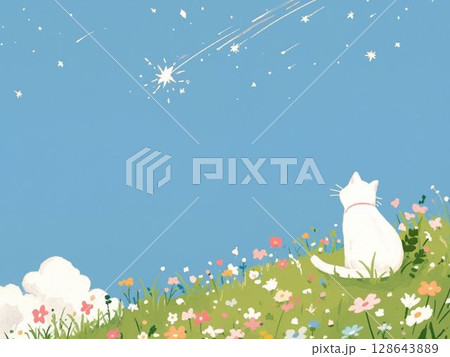 流れ星を見上げる白猫 花咲く丘と星の夜 流れ星を見上げる白猫 花咲く丘と星の夜 128643889