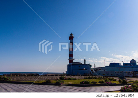 【北海道_稚内市_ノシャップ岬】野寒布岬と稚内灯台 【北海道_稚内市_ノシャップ岬】野寒布岬と稚内灯台 128643904