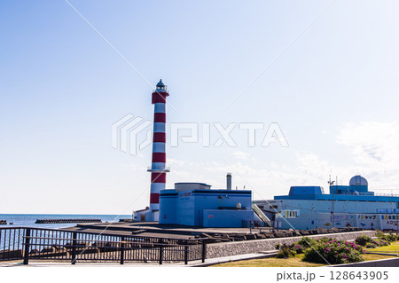 【北海道_稚内市_ノシャップ岬】野寒布岬と稚内灯台 【北海道_稚内市_ノシャップ岬】野寒布岬と稚内灯台 128643905